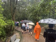 -广东惠东海龟国家级自然保护区
