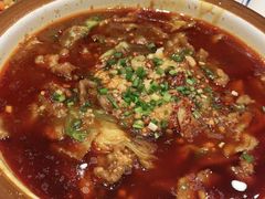 -紫光园·烤鸭·北京菜(劲松店)