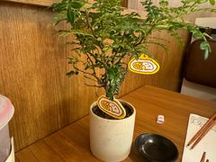 -CURRY YA 熟成咖哩專門店(深圳湾万象城店)