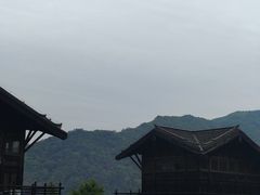 -大唐贡茶院