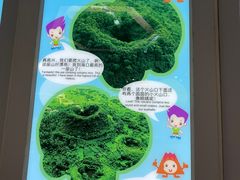 -海口火山口国家地质公园