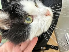 -美联众合动物医院·24h京西诊疗中心