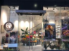 -植物学家的女儿(北马道巷店)