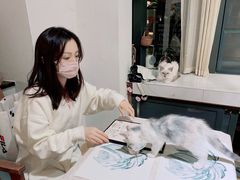-吉丁鸟咖·异宠·寄养