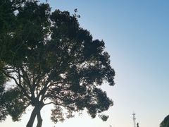 -良渚古城遗址公园