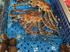 -大连湾旭日·家宴·海肠捞饭(马栏广场店)