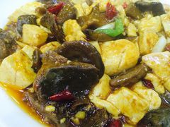 雁来蕈炖豆腐-马姐菜饭馆