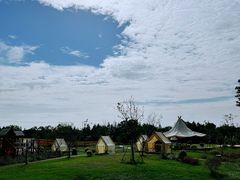 -同里国家湿地公园