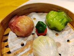 -点都德·毕德寮