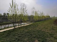 -洨河生态公园