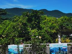 -国家植物园南园