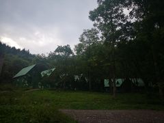 -武陵山森林公园