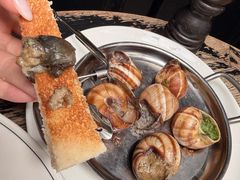 -金蜗牛