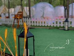 -维斯特·夜烤牛肋条任吃
