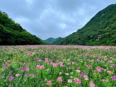 -广州市石门国家森林公园