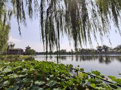 -后海公园