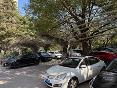 -双季花艺园艺市场(浦东店)