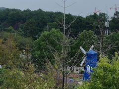 -铁山坪森林公园