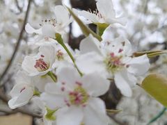 -祥源·阜阳生态乐园