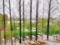 -前小桔亲子创意农场·草莓采摘·露营烧烤