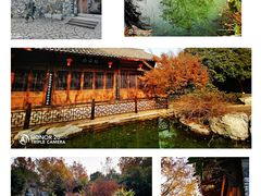 -武汉园博园(武汉自然博物馆)