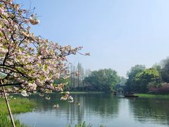 -野蔓果·山野菜(西湖景区·龙井茶田店)