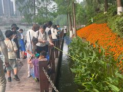 -重庆彩云湖湿地公园