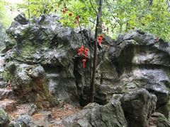 -杭州西湖风景名胜区-三生石
