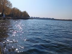 -丁香湖公园