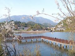 -梅城古镇