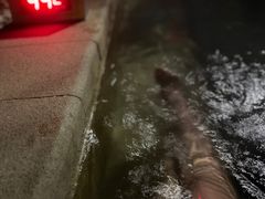 -大连金石滩绿发温泉假日酒店