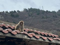 -白帝城·瞿塘峡景区