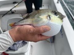 -鑫艋游艇海钓俱乐部