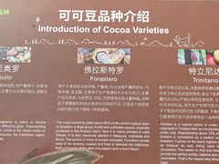 -歌斐颂巧克力小镇