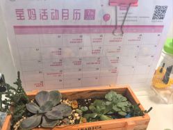 -浙大妇院协作武林母婴护理中心
