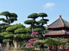 -南宁南湖公园
