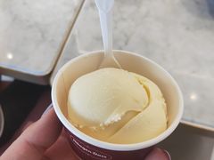 -哈根达斯(赛特奥莱店)