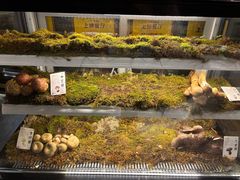 -滇野云南野生菌餐厅(陕西南路店)