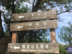 -阳台山自然风景区