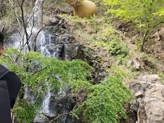 -野三坡百里峡景区