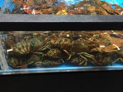 -盒马鲜生(王府广场店)