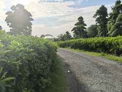 -罗汉堂·荷谷(礼智路店)