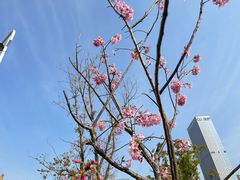 -艾溪湖湿地公园