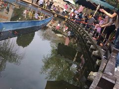 -白马涧龙池景区