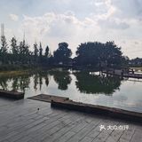 没啥人的话倒是真的很舒服的院子