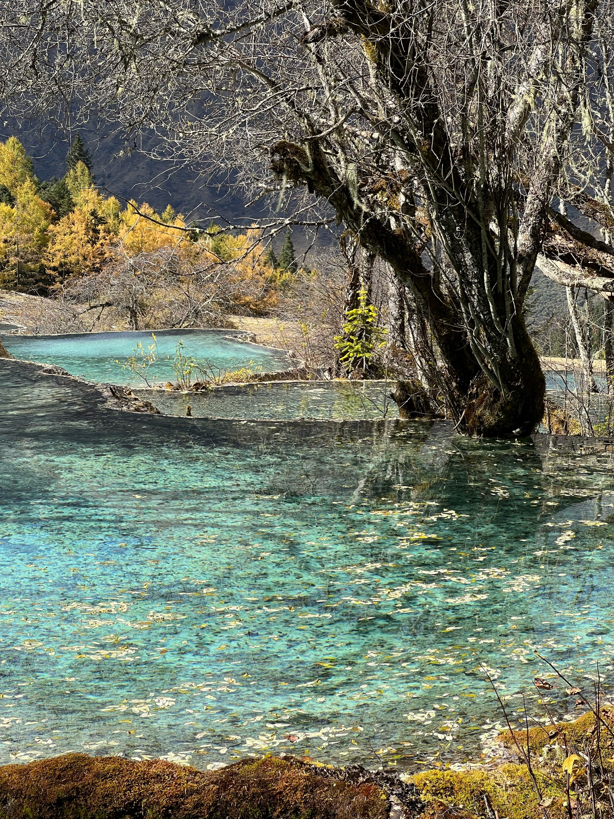 高明黄龙峡生态风景区图片