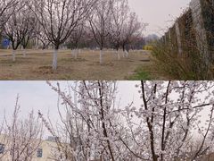 -太阳宫公园
