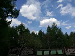 -白草畔自然风景区