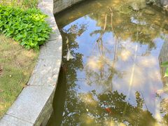 -上海瑞金洲际酒店
