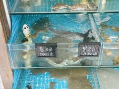 -北戴河庆山饭店·海鲜砂锅粥(北戴河黑石路店)